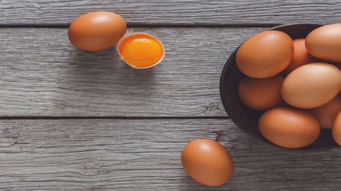 Egg-Allergy 1040x440